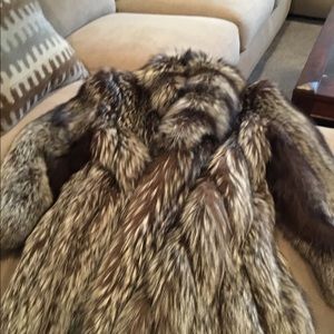 Full length  silver fox